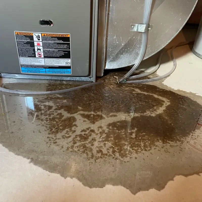 Appliance Leak Cleanup in Biltmore Forest, NC